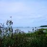 images/Schweden/Schweden 2009/IMG_4477.jpg
